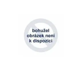 ASUS ExpertBook BM1503CDA / Notebook / 15,6" / AMD Ryzen 5 150 / 16GB / 512GB / bez OS