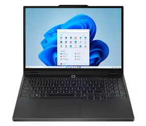 Lenovo Legion 5 15IRX10 černá / 15.1" WQXGA / i7-13650HX 2.6GHz / 32GB / 1TB SSD / RTX 5060 8GB / W11H