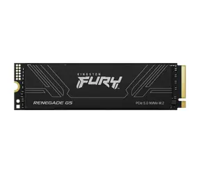 Kingston FURY Renegade G5 4TB