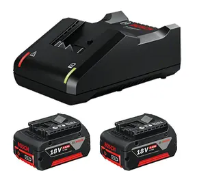 BOSCH 1600A019S0 / Startovací sada /  2x GBA 18V 4.0Ah + GAL 18V-40