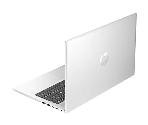 HP ProBook 450 G10 stříbrná / 15.6