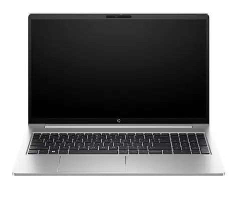 HP ProBook 455 G10 stříbrná / 15.6