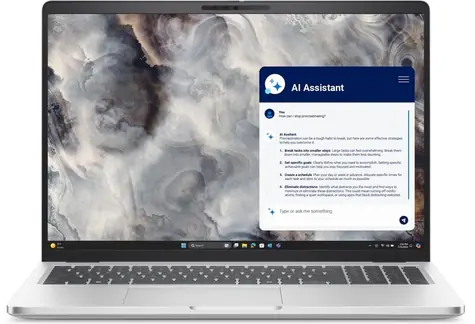 DELL Pro 16 Plus PB16250 stříbrná / 16