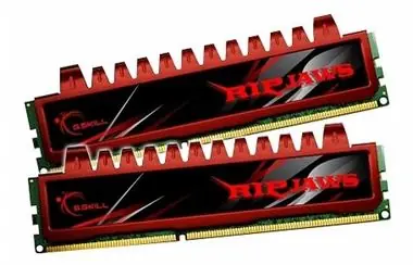 G.Skill Ripjaws 8GB (2x 4GB) / DDR3 / 1600MHz / 9-9-9-24