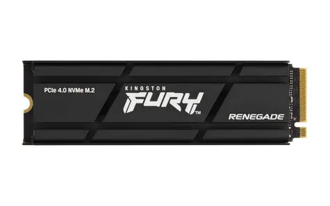 Kingston FURY Renegade 1TB s chladičem / M.2 2280 / M.2 PCI-E NVMe Gen4